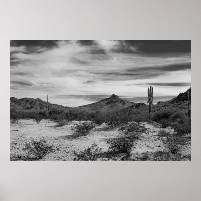 Poster Cactus en sable blanc (Devant)