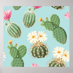Poster Cactus, fleurs roses : décor clair
