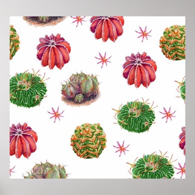 Poster Cactus Floral : Arrière - plan aquarelle (Devant)