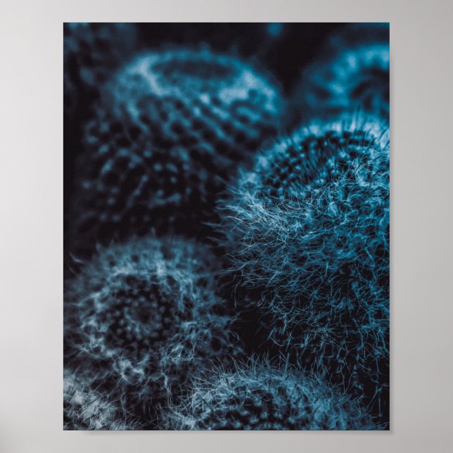 Poster Cactus foncé (Devant)