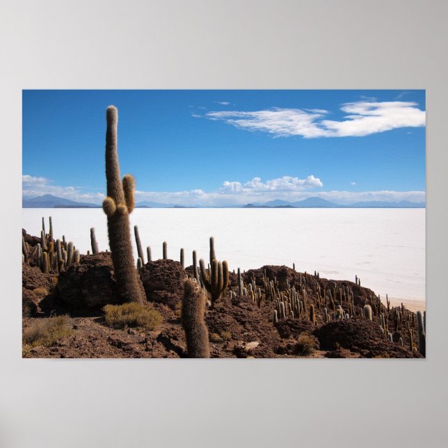 Poster Cactus géant à l'affiche Salar de Uyuni (Devant)