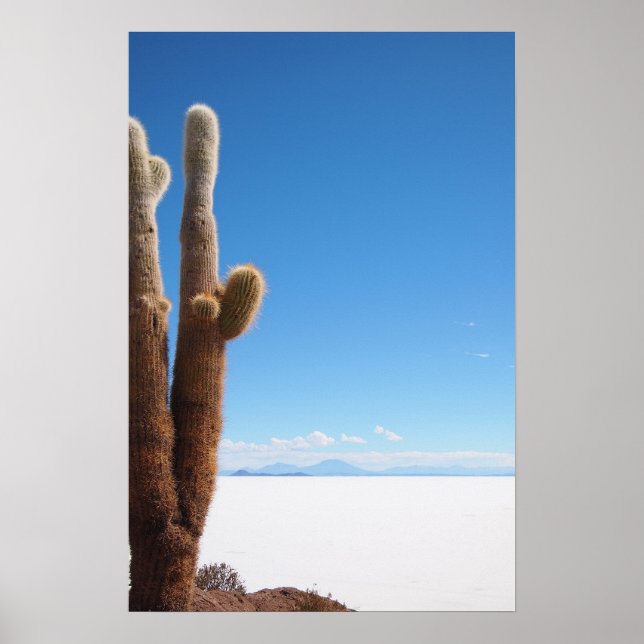 Poster Cactus géant sur l'affiche Salar de Uyuni (Devant)