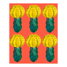 Cactus, Lune Cactus, Vert Jaune Orange
