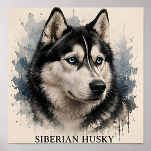 Poster Cadeau d'aventure pour amateur de Husky Sibérien