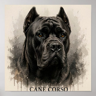 Poster Cadeau pour amateur de Cane Corso Mastiff Italien