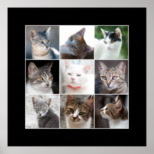 POSTER CADEAUX