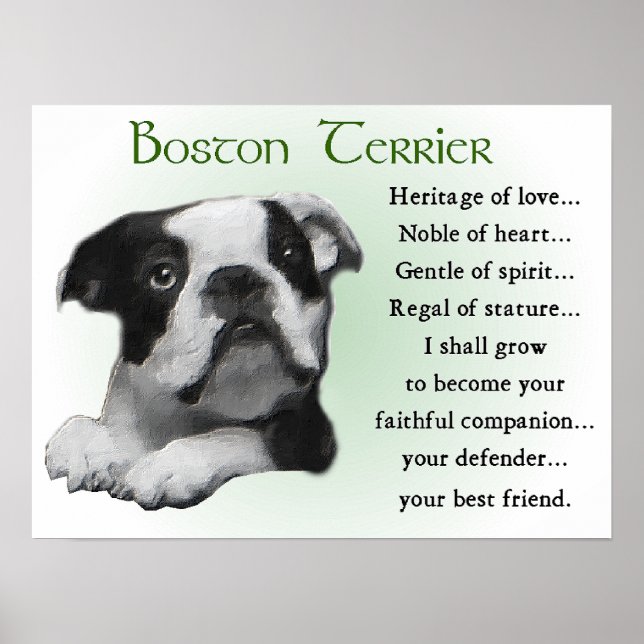 Poster Cadeaux Boston Terrier (Devant)