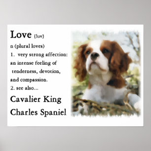 Poster Cadeaux cavaliers d'épagneul du Roi Charles