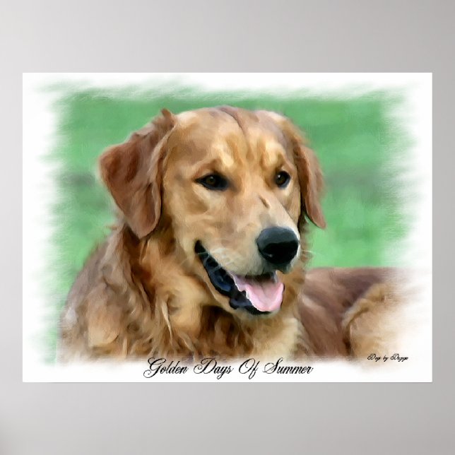 Poster Cadeaux d'art Golden Retriever (Devant)