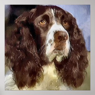 Poster Cadeaux d'art pour English Springer Spaniel