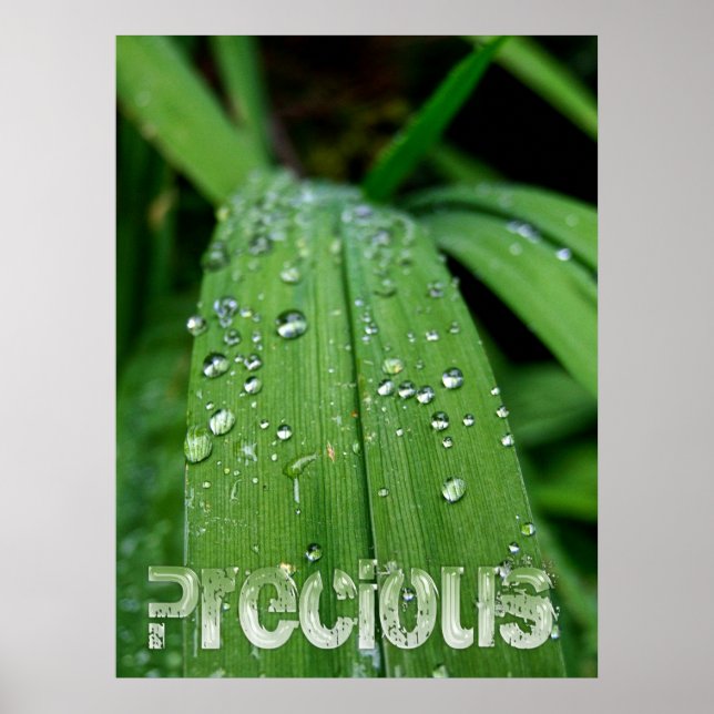 Poster Cadeaux Précieux de la Nature (Devant)
