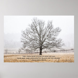 Poster Cades Cove dans la neige