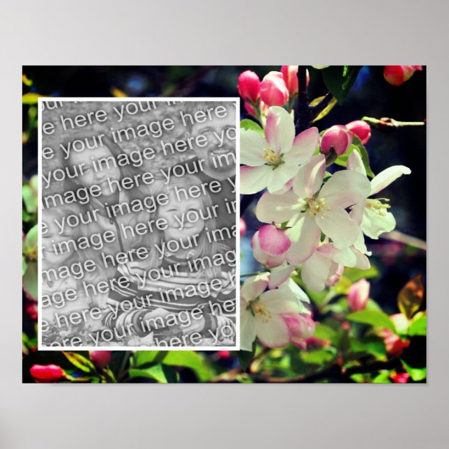 Poster Cadre de fleurs du début du printemps Ajouter votr (Devant)