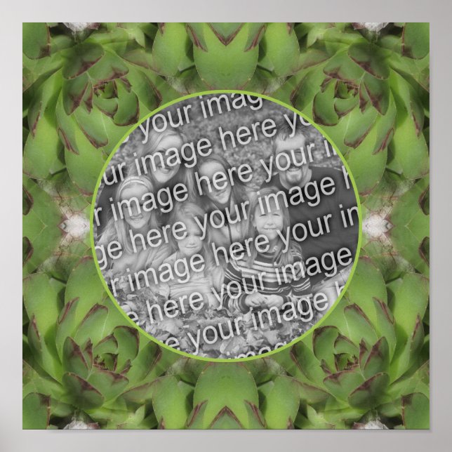 Poster Cadre de la nature Succulente Créez votre propre p (Devant)