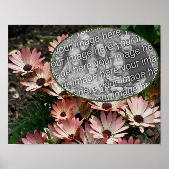 Poster Cadre de marguerite rose africaine Créez votre pro (Devant)