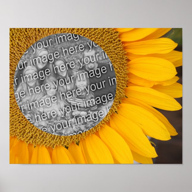Poster Cadre du centre de tournesol Ajouter votre photo (Devant)