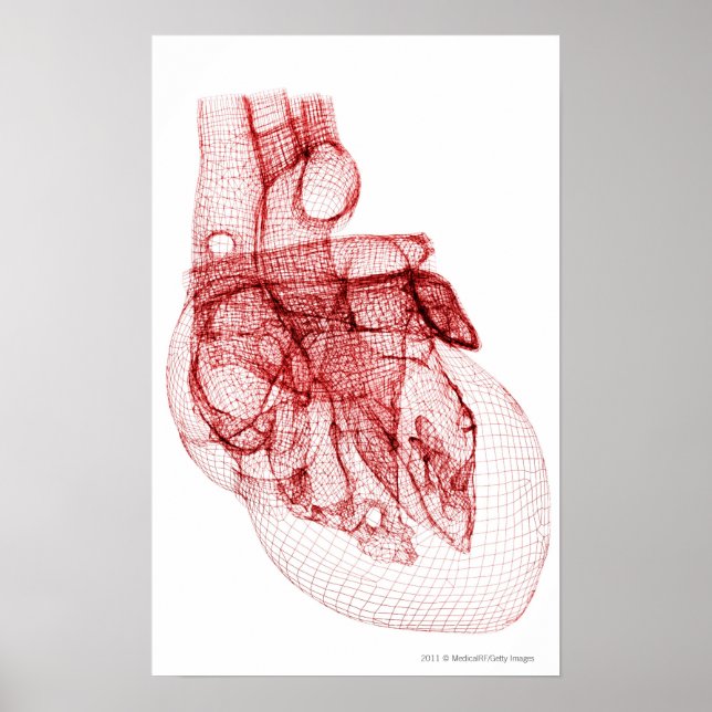 Poster Cadre filaire numérique du coeur humain (Devant)