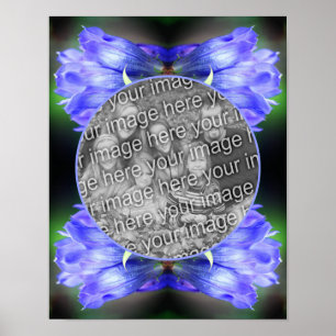 Poster Cadre Fleur Gentien Bleu Créez Votre Propre Photo