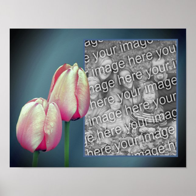 Poster Cadre Fleurs Tulipes Roses Ajouter Votre Photo (Devant)