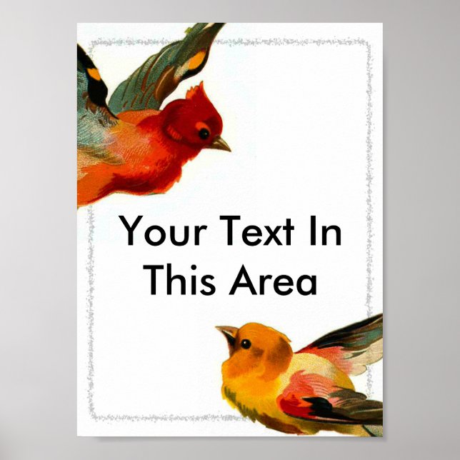 Poster Cadre Oiseaux 2, Votre Texte Dans Cette Zone (Devant)