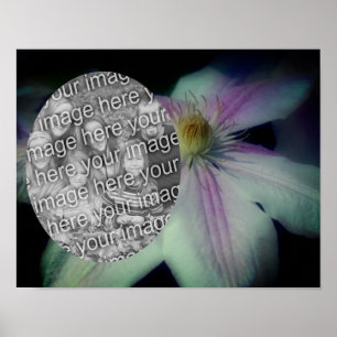 Poster Cadres de pétales à fleurs Clematis Créez votre pr