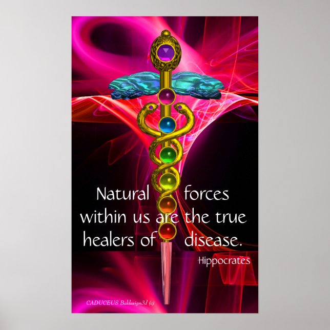 Poster CADUCUS D'OR,7 CHAKRAS, VAGUES FRACTALES ROSES Méd (Devant)