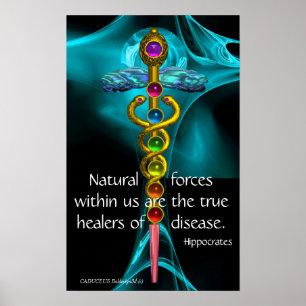 POSTER CADUCUS D'OR ET 7 CHAKRAS EN ROSE DE FRACTAL BLEU