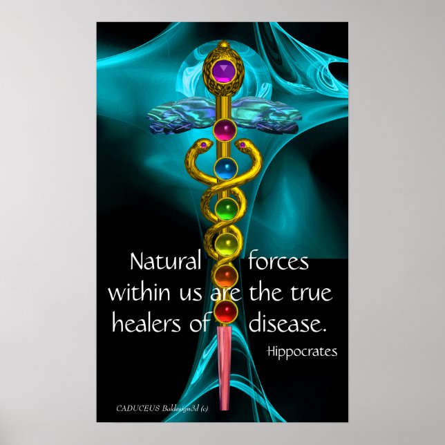 POSTER CADUCUS D'OR ET 7 CHAKRAS EN ROSE DE FRACTAL BLEU (Devant)