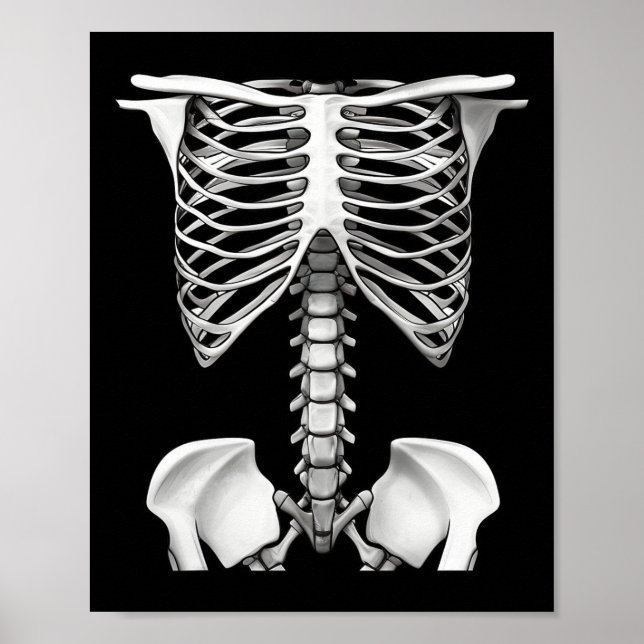 Poster Cage De Rib Skeleton Cadeaux De Costume Halloween  (Devant)