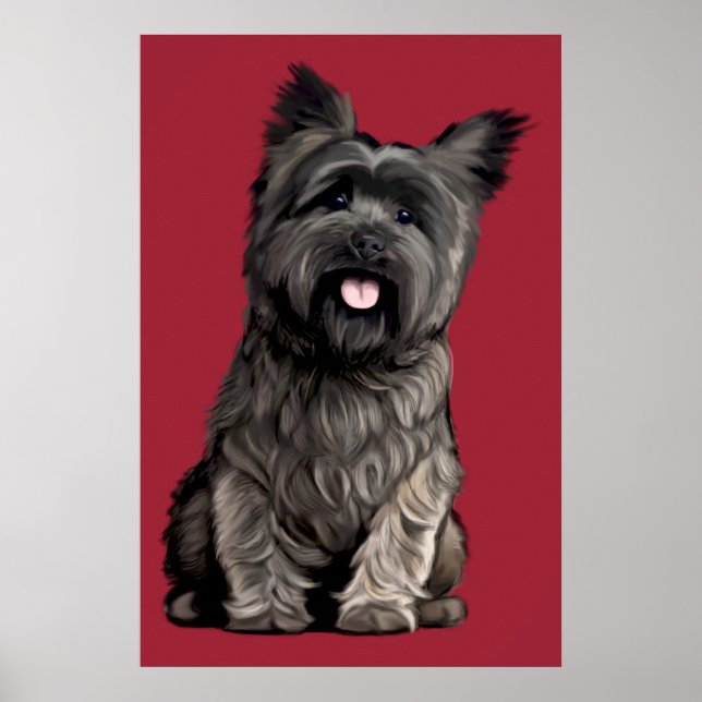 Poster Cairn Terrier (Devant)