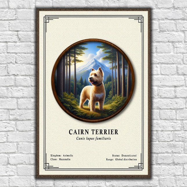 Poster Cairn Terrier Zoology Series (Créateur téléchargé)