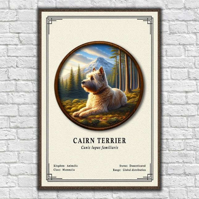 Poster Cairn Terrier Zoology Series (Créateur téléchargé)