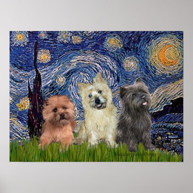 Poster Cairn Terriers (trois) - Nuit étoilée (Devant)