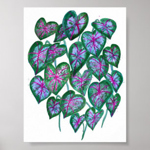 Poster Caladiums colorés Aquarelle Art Rose Vert