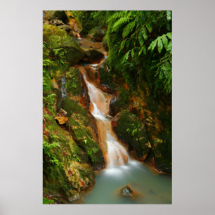 Poster Caldeira Velha, Açores
