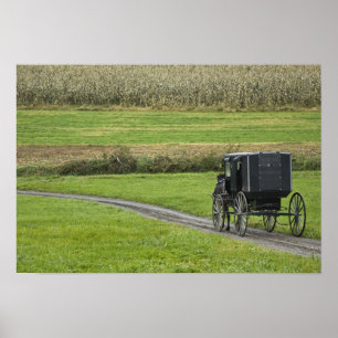 Poster Calèche amish sur une allée de ferme, Ohio du Nord