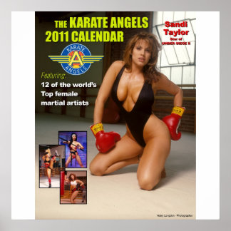 Poster Calendrier_2011_Karate_Angels_Calendar