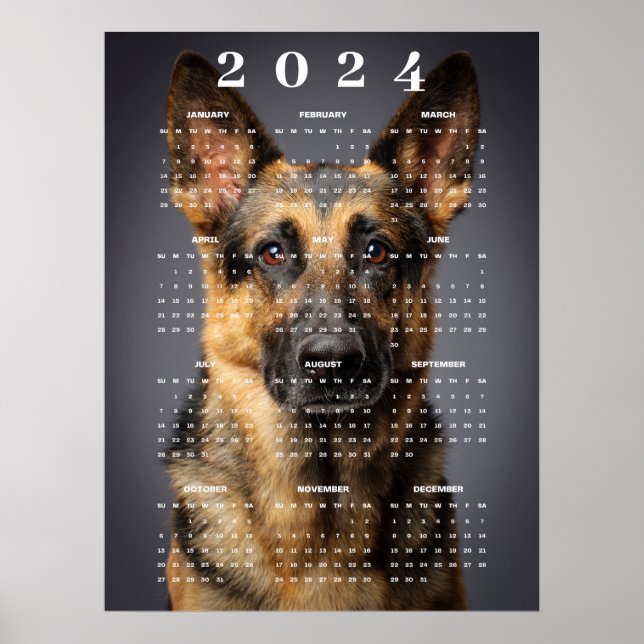 Poster Calendrier 2024 de Photos de Chiens de Berger Alle (Devant)