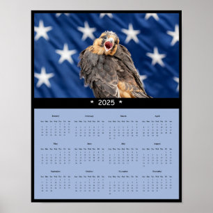 Poster Calendrier 2025 ADiplomado Falcon