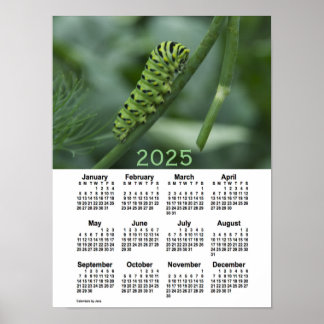 Poster Calendrier 2025 de la chenille d'avale par Janz