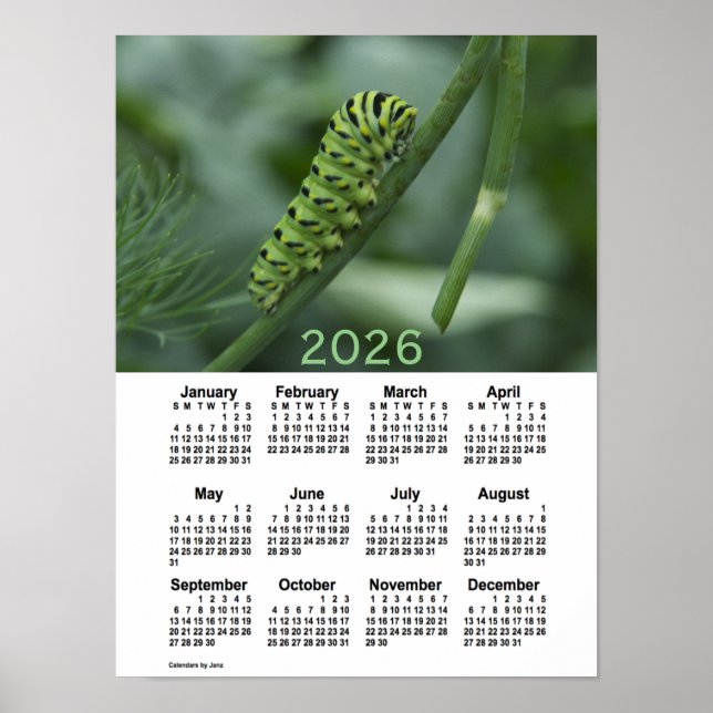 Poster Calendrier 2026 de la chenille d'avale par Janz (Devant)