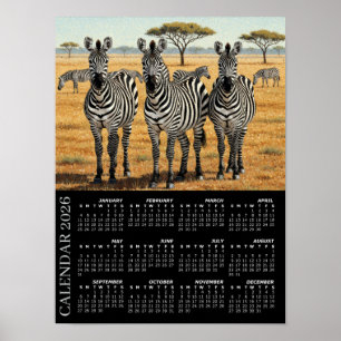 Poster Calendrier 2026, Zèbres, Safari africain, Afrique