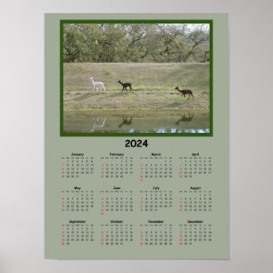 Poster Calendrier - Calendrier Alpaca 2024