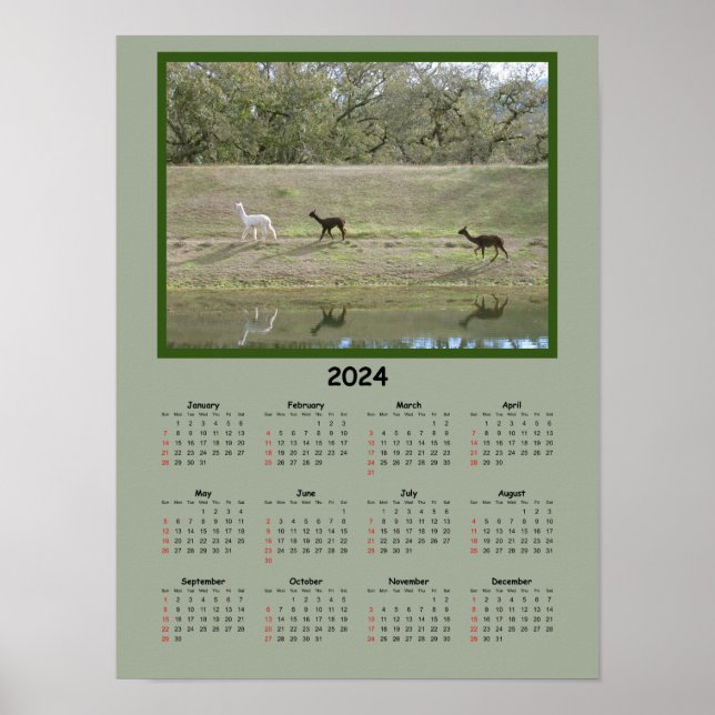 Poster Calendrier - Calendrier Alpaca 2024 (Devant)