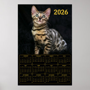 Poster Calendrier Chat Bengal 2026