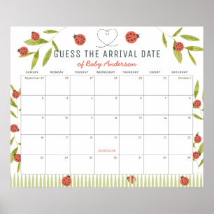 Poster Calendrier de devinette de date prévue Ladybugs Gr