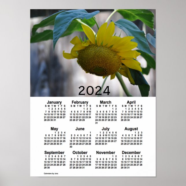 Poster Calendrier des tournesols 2024 par Janz (Devant)