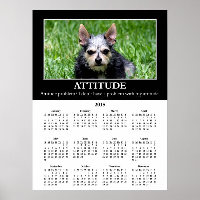 Poster Calendrier du mur démotivationnel 2015 : Mauvaise  (Devant)