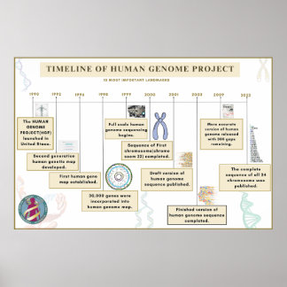 Poster Calendrier du projet sur le génome humain