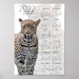 Poster Calendrier faune léopard 2022